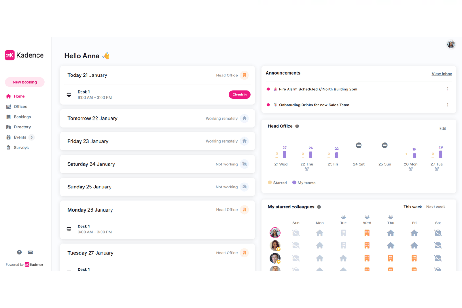 screenshot - Kadence Review 2026: Pros, Cons, Features, and Pricing