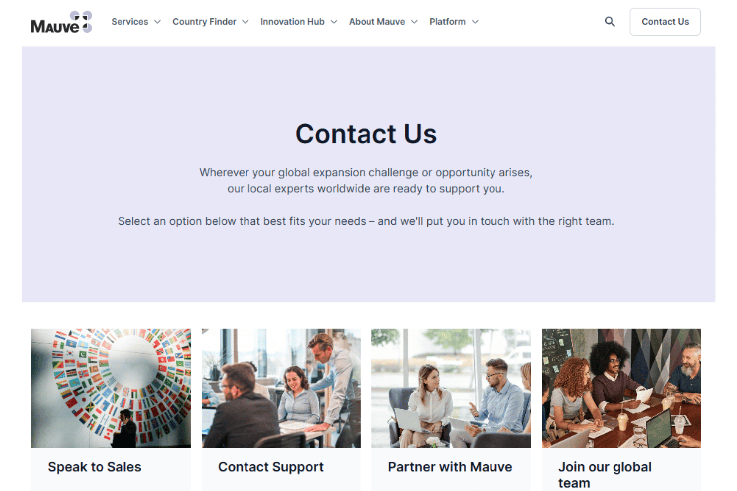 Mauve Insight customer support with dedicated account managers.