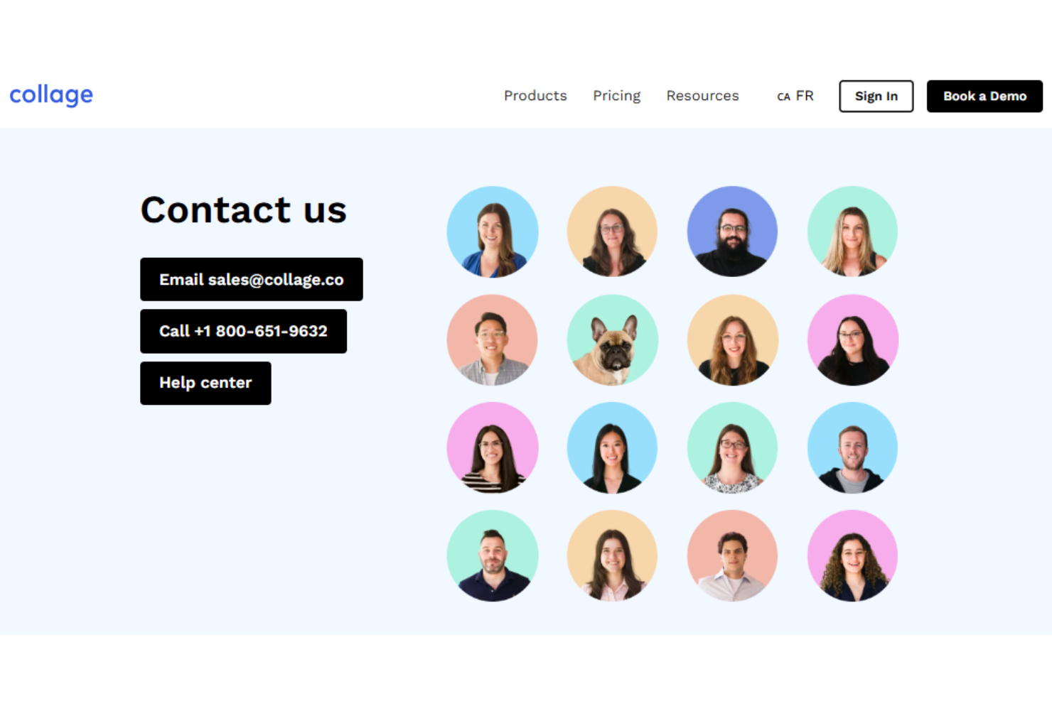 screenshot - Collage HR Review: Pros, Cons, Features, and Pricing Explained