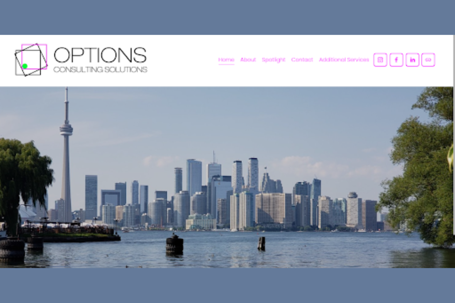 Options Consulting Solutions screenshot - 13 beste HR-Beratungsfirmen in Toronto: Bewertet im 2026