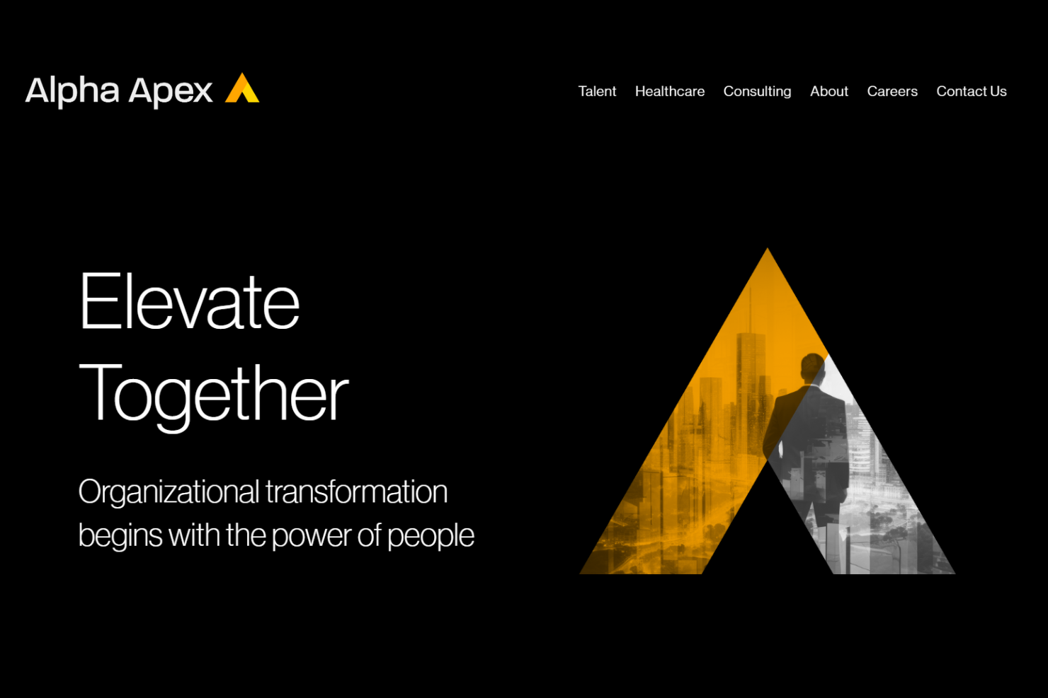Alpha Apex Group screenshot - 10 migliori società di consulenza per le risorse umane a Denver recensite nel 2026