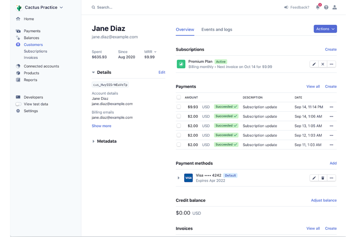 Stripe screenshot - Las 10 mejores alternativas a FreshBooks de 2026