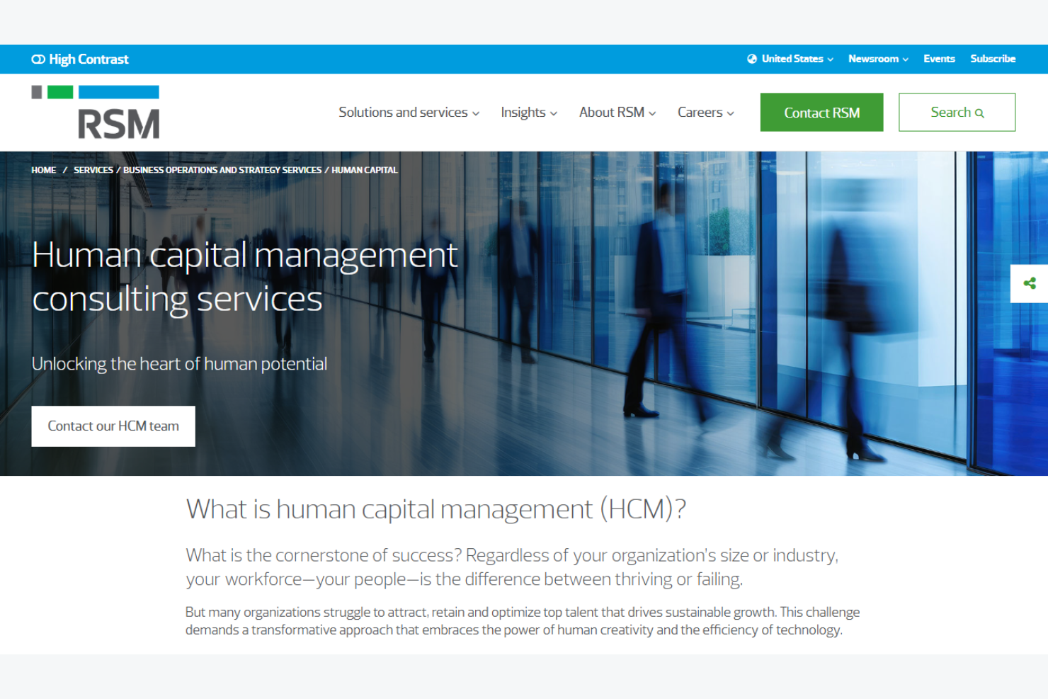 RSM US LLP screenshot - 10 beste HCM-adviseurs beoordeeld in 2026