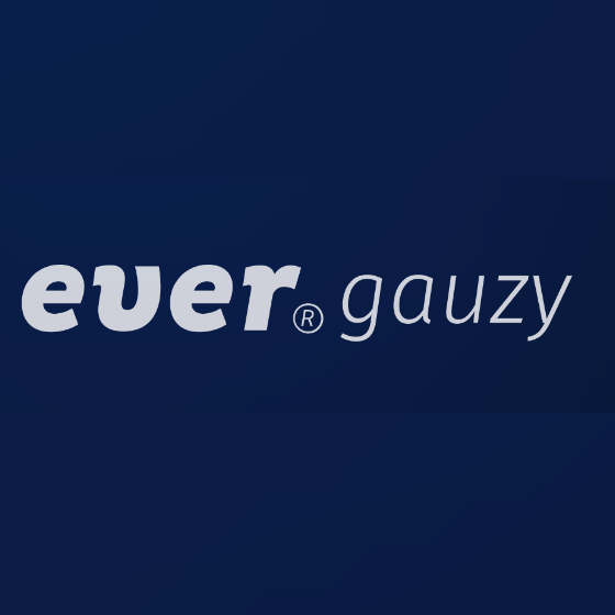 Ever Gauzy Platform