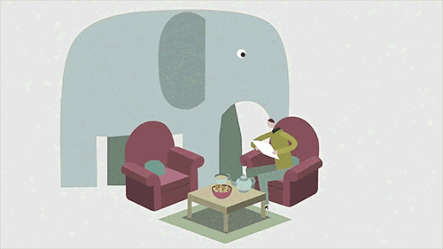 Gif Of The Elephant In The Room