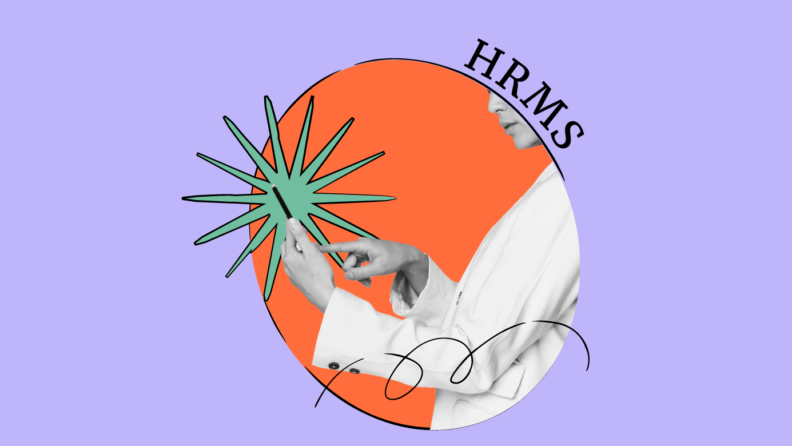 What Does an HRMS Analyst Do Featured image