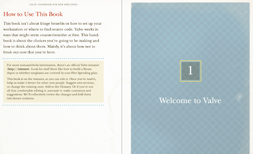 Valve Employee Handbook Screenshot