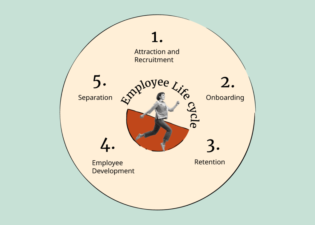 employee lifecycle infographic