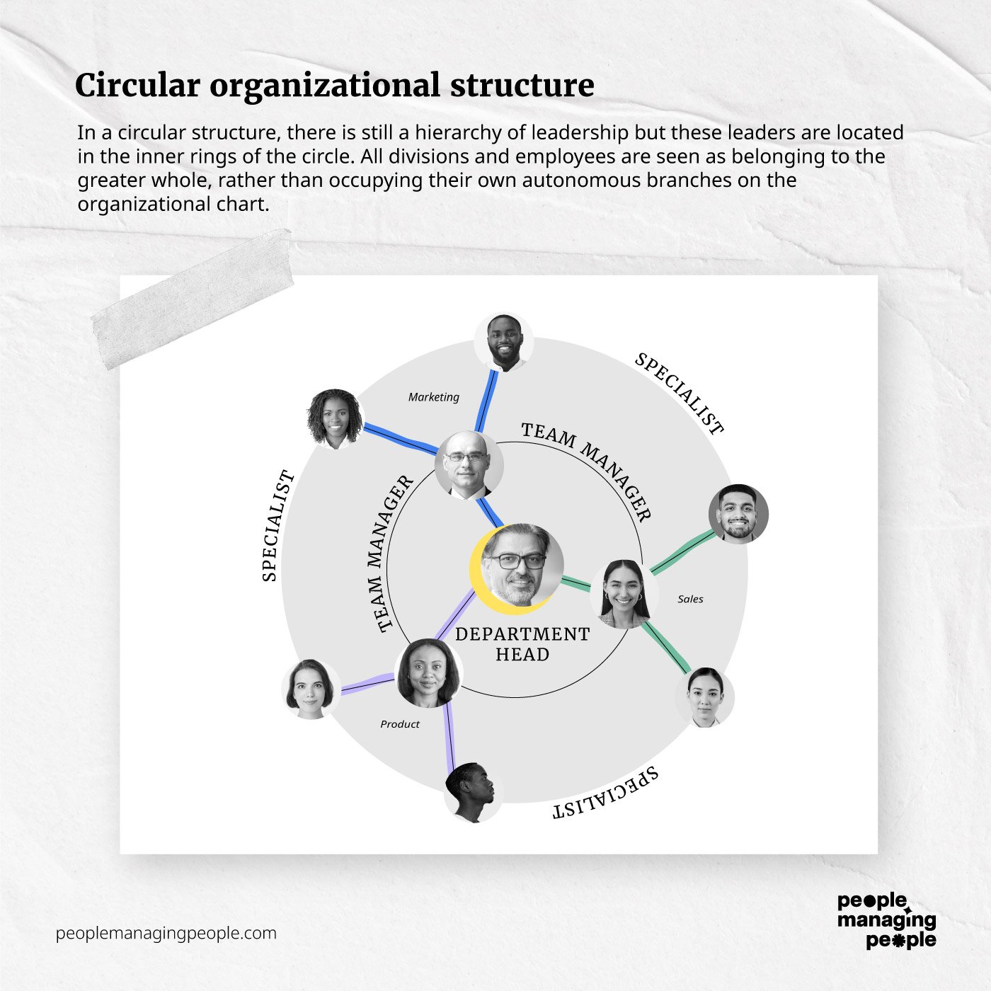 circular org structure infographic