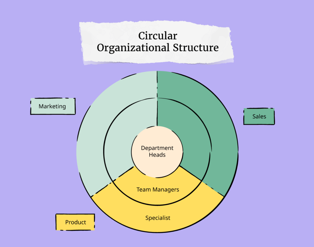 circular organizational structure infographic