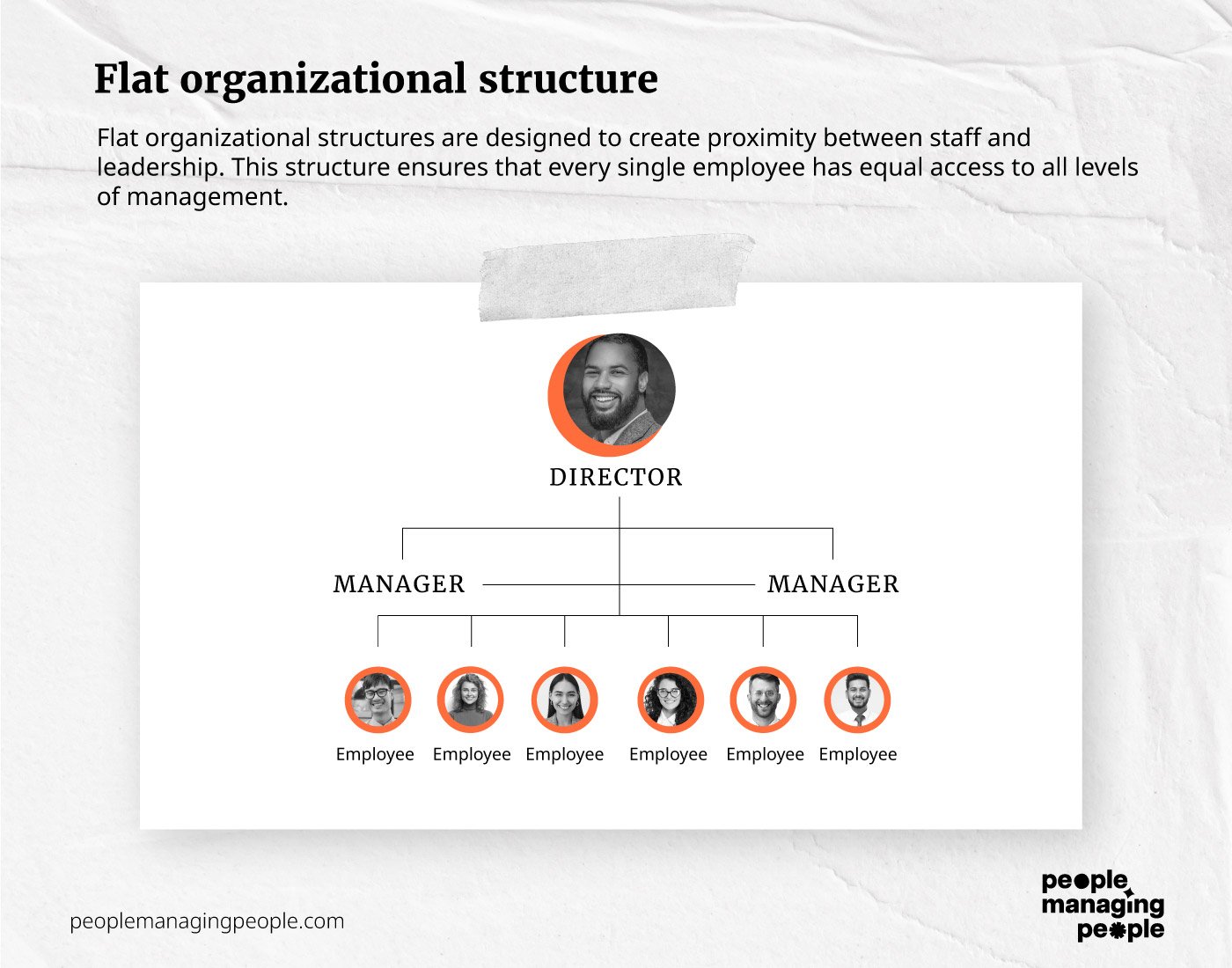 flat org structure infographic