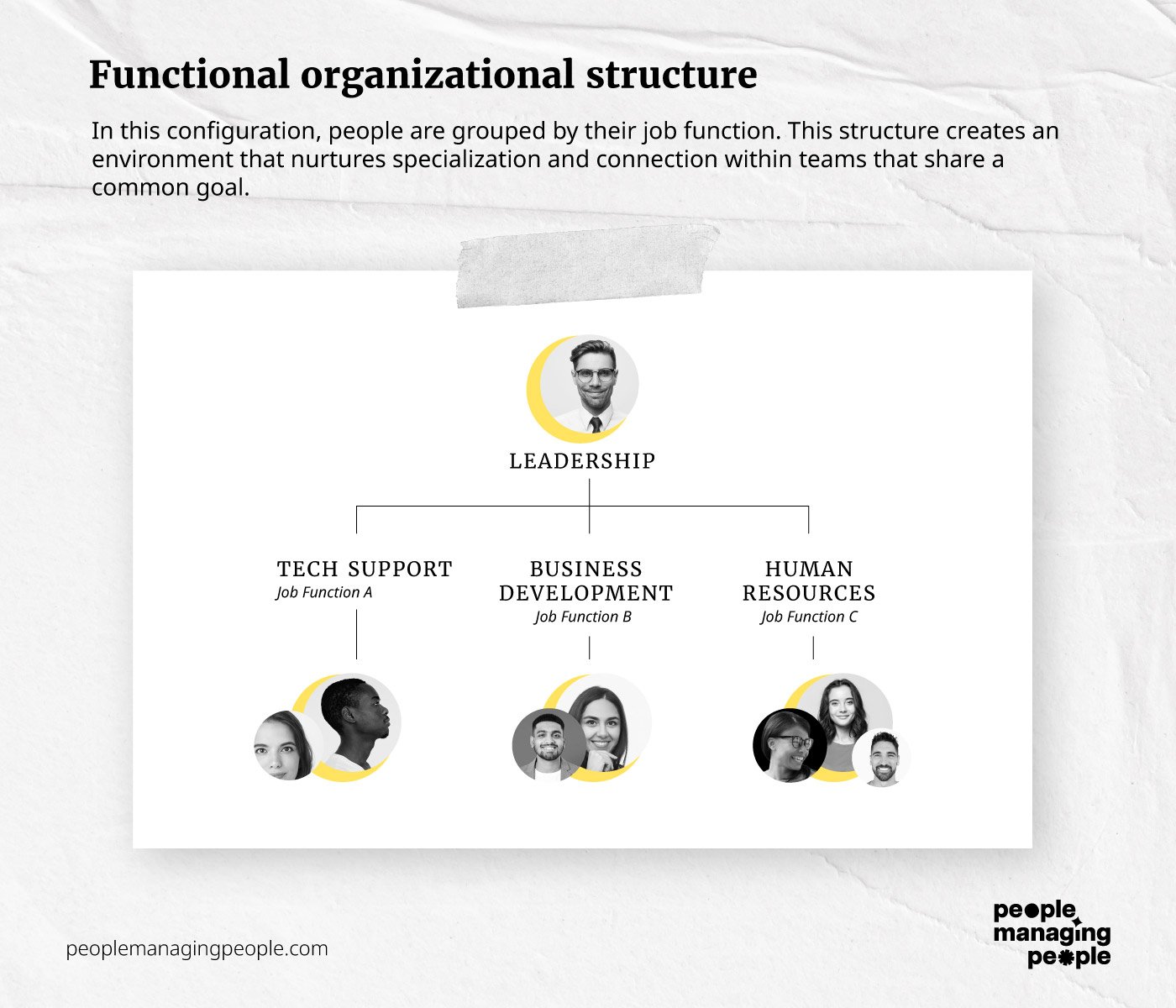 functional org structure infographic