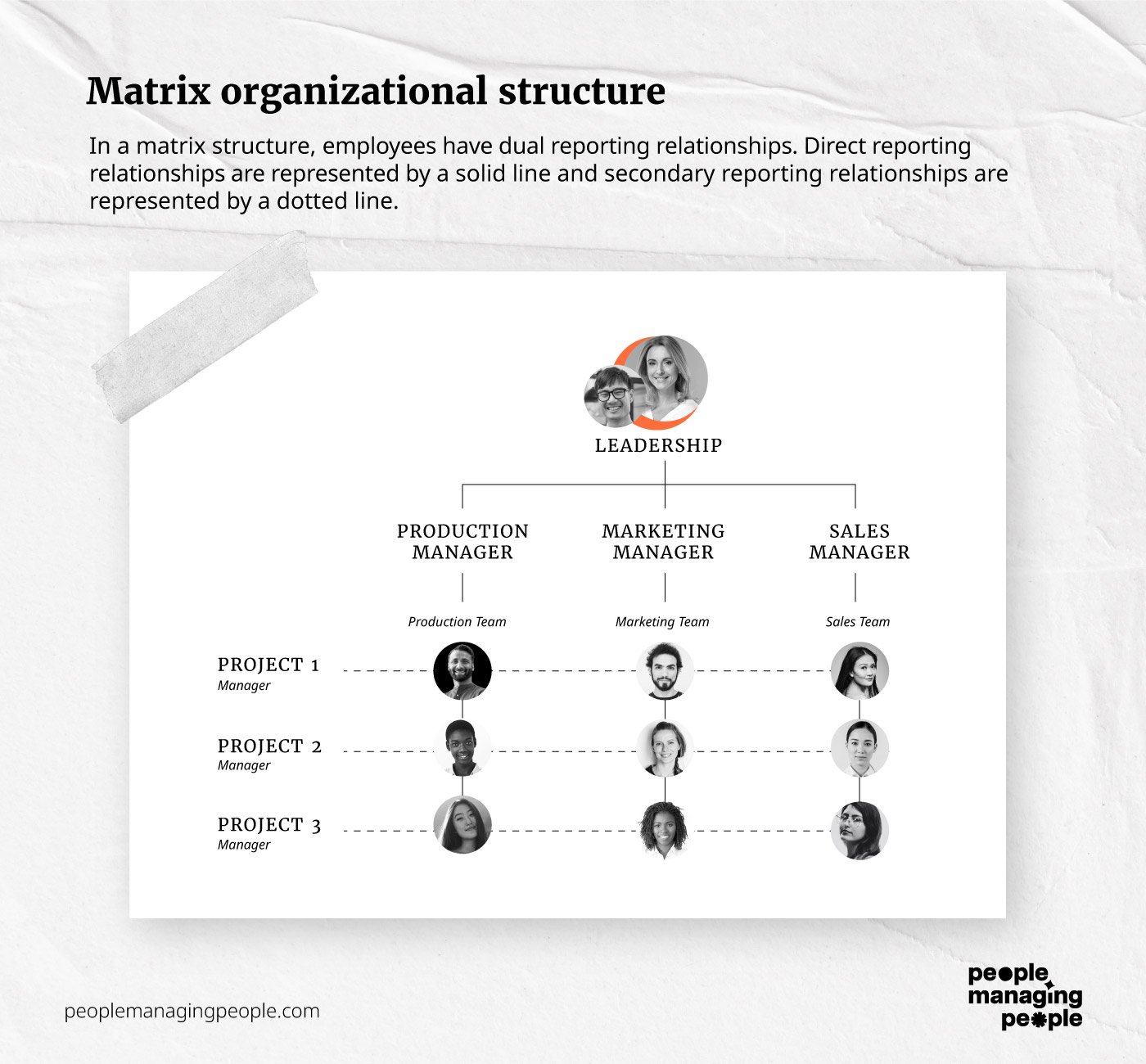 matrix org structure infographic