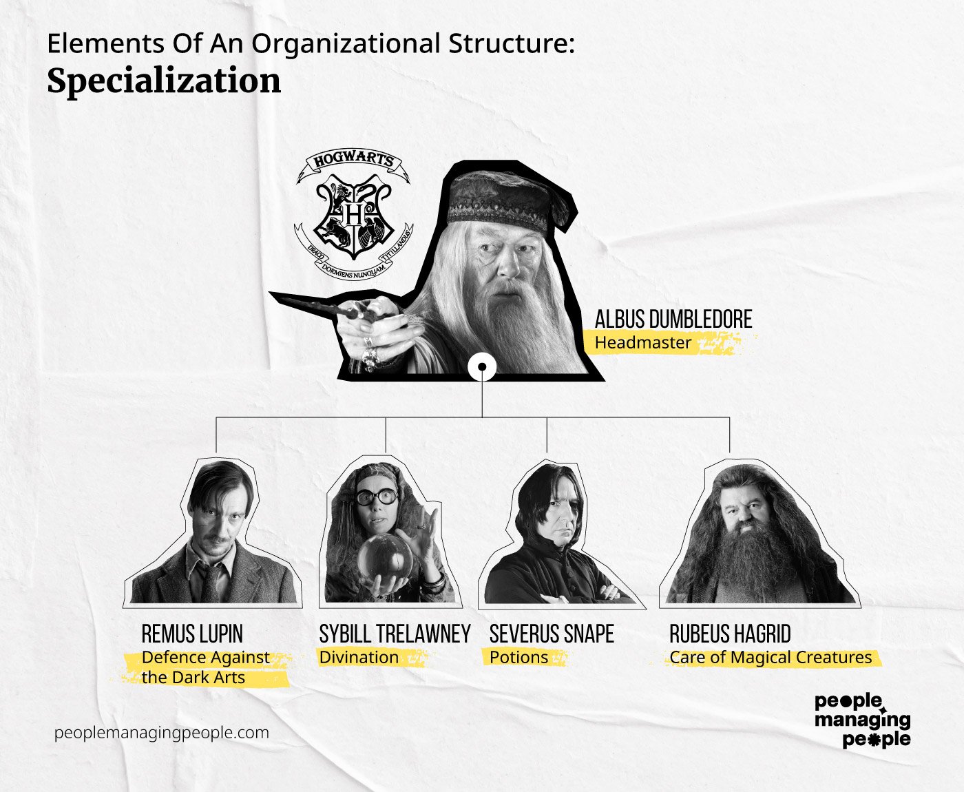 specialization infographic