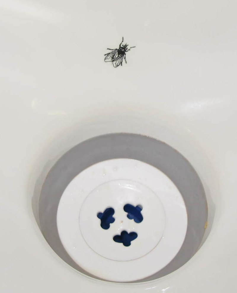 image of urinal fly
