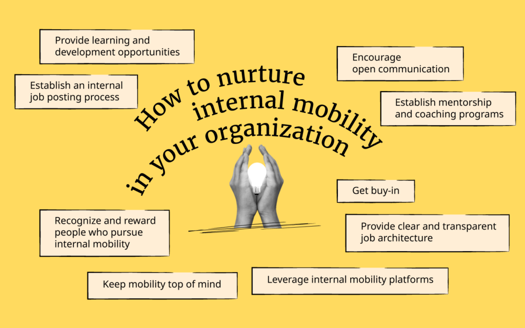 Internal Mobility: Why Its Important And How To Nurture It