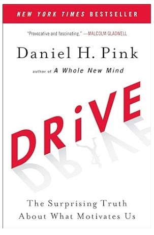 Drive - The Surprising Truth About What Motivates Us - Recruiting Book