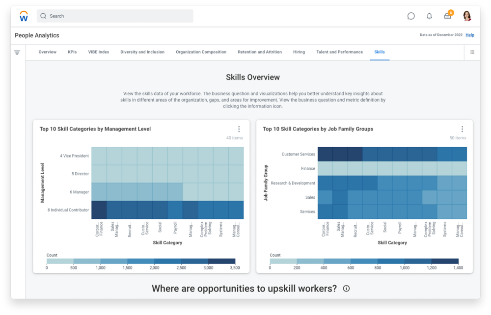 workday skill cloud screenshot