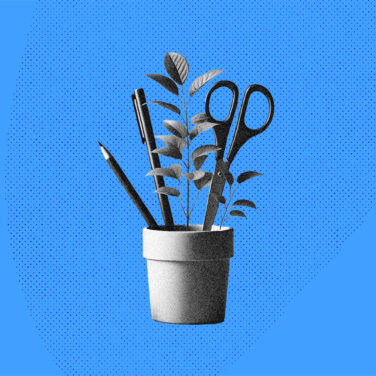 PMP-HR’s Crucial Role In Sustainability