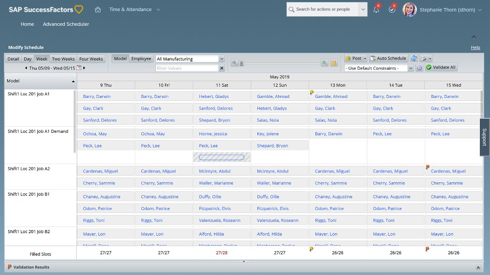 SAP SuccessFactors industry specific features Screenshot