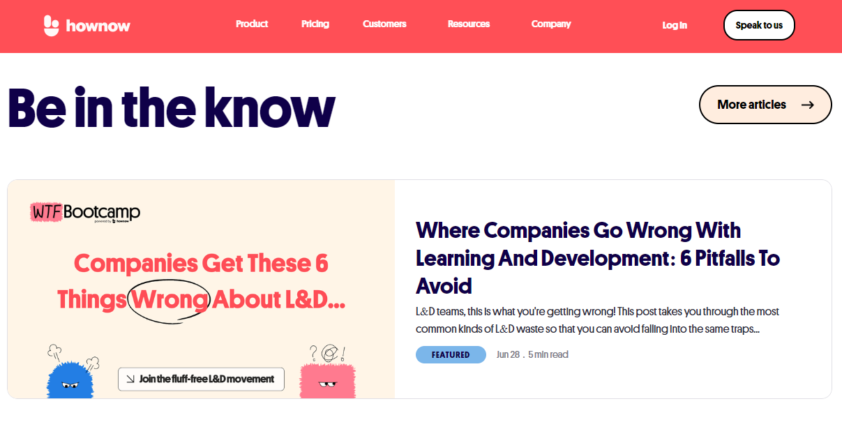 HowNow newsletter about page screenshot