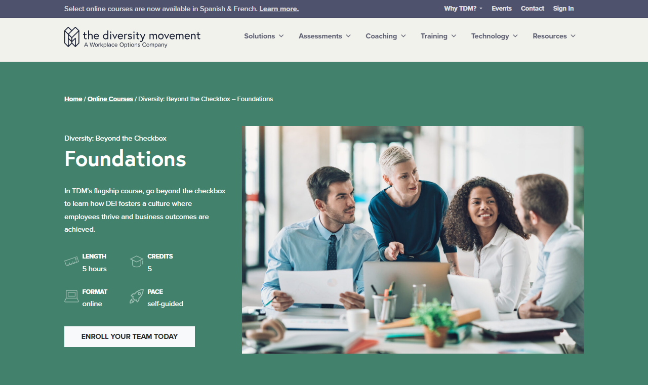 Diversity: Beyond the Checkbox, a DEI Courses