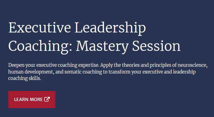 Executive Leadership Coaching: Mastery Session for career development course