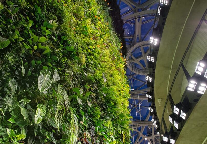 office space planning amazon’s spheres