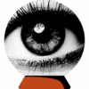 PPL-Ad-Illustrations-PMP-ad-with-image-06840
