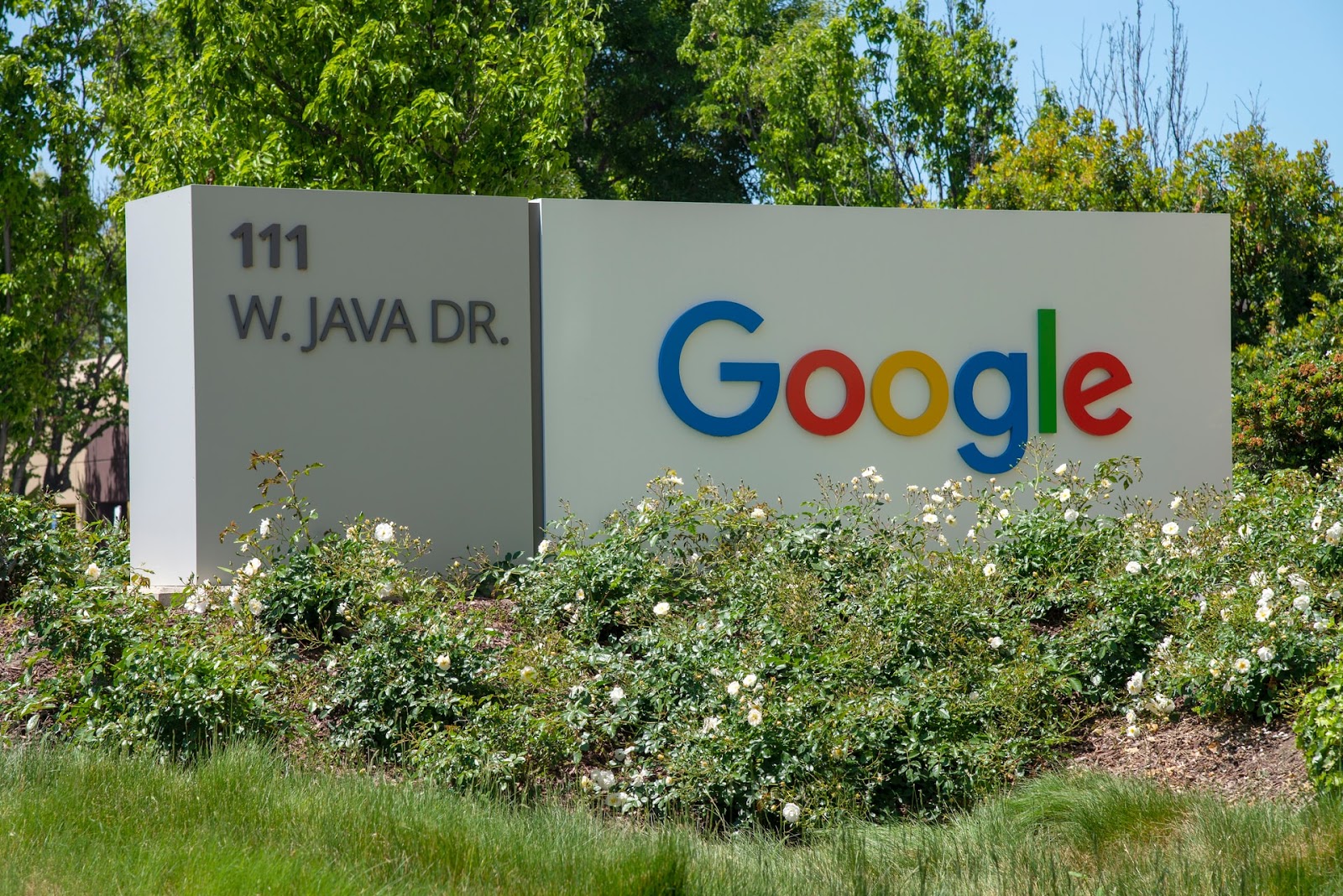 Photo of Google 111 W Java Dr location