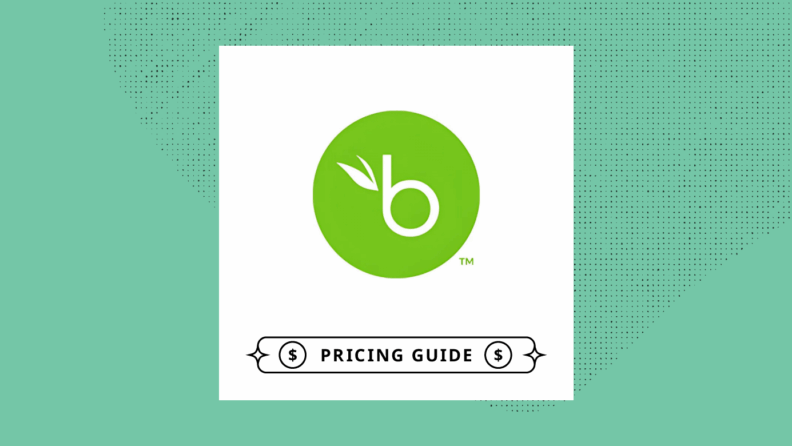 Bamboohr Pricing Guide