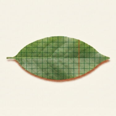 AI in Sustainability featured image