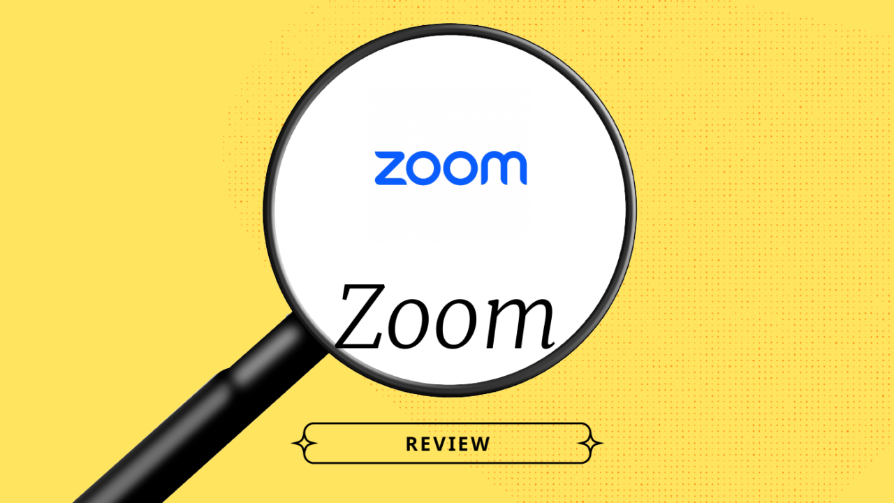 Zoom Product Review 39171