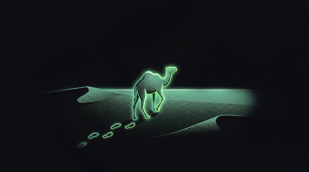 A leadership journey shaped by organizational psychology